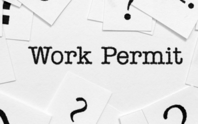 Work Permit (TWV)